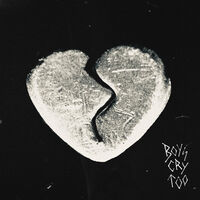 Haunted Youth - Boys Cry Too