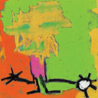 Medeski Martin & Wood - Shack-Man [Fluorescent Green]