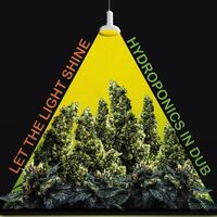 Let The Light Shine