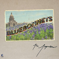 Down Where The Bluebonnets Grow