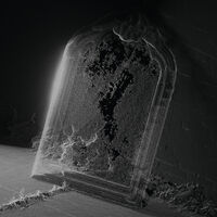 Visible Cloaks - Paradessence [Silver]