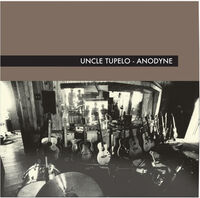 Uncle Tupelo - Anodyne