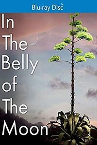 In The Belly of the Moon