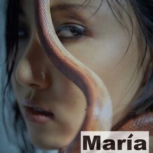 Maria (incl. 208pg Booklet, Photocard + Photocard Ticket) [Import]