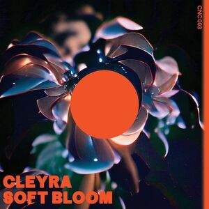 Soft Bloom [Import]