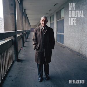 My Brutal Life , The Black Dog