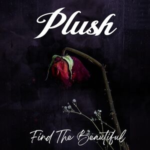 Find The Beautiful , Plush