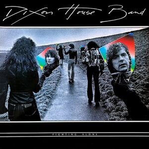 Fighting Alone [Import]