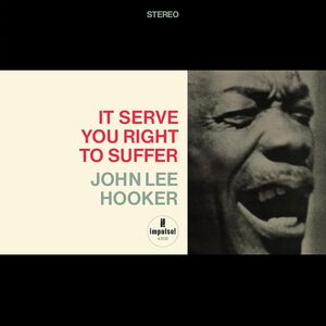 It Serve You Right To Suffer (Verve Acoustic Sounds Series) , John Lee Hooker