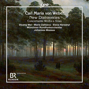 New Discoveries - Concertante Works & Arias , Diyang Mei