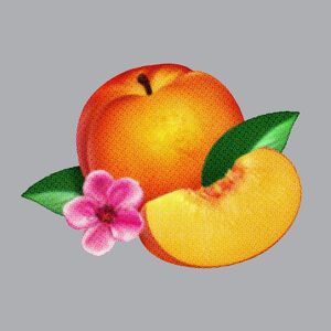 Bankrupt! (Limited) , Phoenix