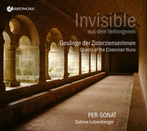 Invisible from a Secluded Place , Various Artists