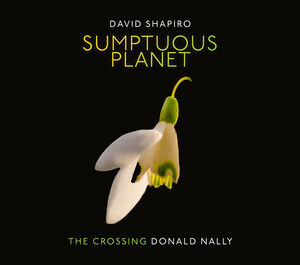Sumptuous Planet , The Crossing