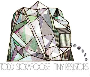 Tiny Resistors , Todd Sickafoose
