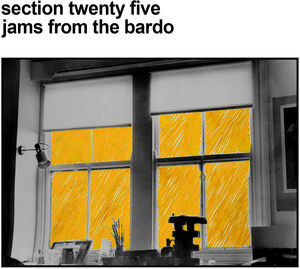 Jams From The Bardo , Section 25