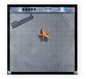 (((((Ultrasound)))))+ , The Neighbourhood