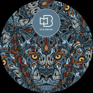 Rhythm For The Night , Sascha Dive