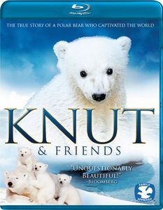 Knut & Friends