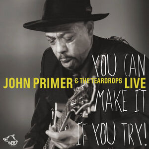 You Can Make It If You Try , John Primer