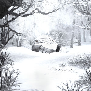 SZNZ: Winter , Weezer