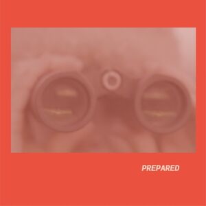 Prepared [Import]