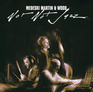 Not Not Jazz , Medeski, Martin & Wood