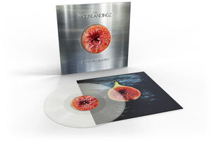 No Rocket Required - Milky , The Moonlandingz