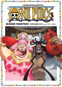 One Piece - Season 14 Voyage 6