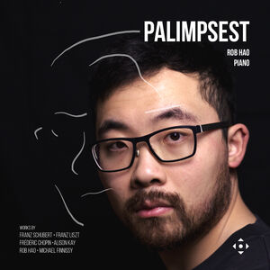 Palimpsest , Rob Hao