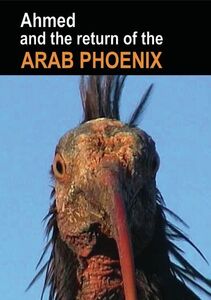 Ahmed and the Return of the Arab Phoenix
