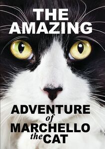 Amazying Adventure of Marchello the Cat