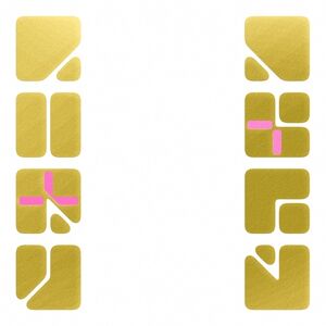 The Ortho-Project , Roland Kayn