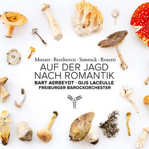 Auf Der Jagd Nach Romantik , Freiburger Barockorchester