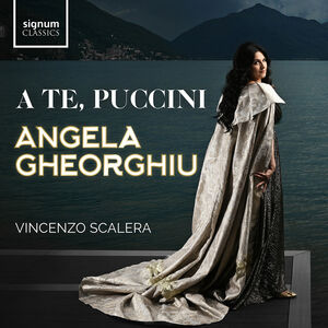Te Puccini , Vincenzo Scalera