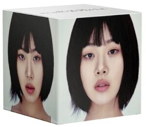 Eve: Romance - Special Version - incl. 35pg Photobook, Bibi Cutout, Graphic Cutout, 2 Photocards, Sticker, Keyring, Brick Figure + Box [Import] , Bibi
