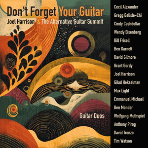 Don't Forget Your Guitar , Joel Harrison