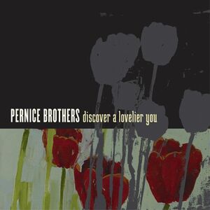 Discover a Lovelier You , The Pernice Brothers