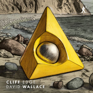 David Wallace: Cliff Edge , Heather Roche
