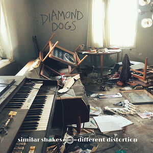 Similar Shakes Different Distortion , Diamond Dogs