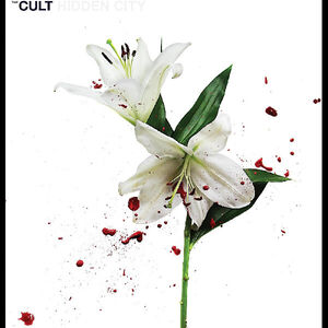 Hidden City , The Cult