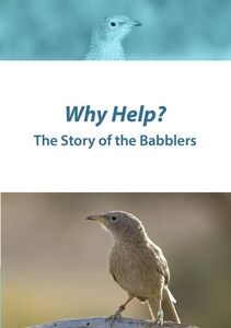 Why Help? The Story Of The Babblers