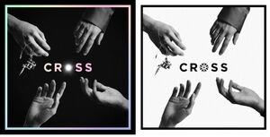 Cross (incl. 136pg Photobook, 4 Postcards, 4 Polaroids, 2 Photocards +Authentication Card) [Import]