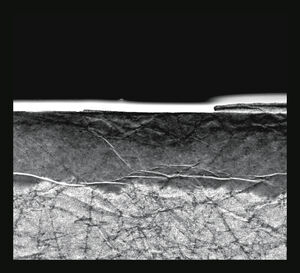 Daleko , Various Artists