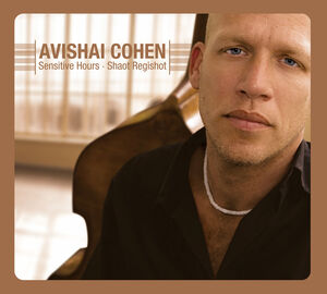 Sensitive Hours , Avishai Cohen