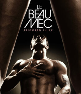 Le Beau Mec 