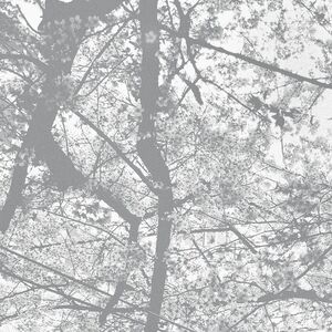 Obliteration Bliss , Black Rain