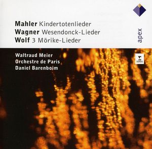 Kindertotenlieder /  Wesendonck-Lieder /  Lieder