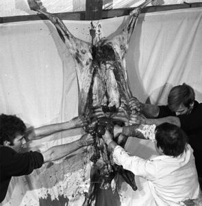 Akustisches Abreaktionsspiel , Hermann Nitsch