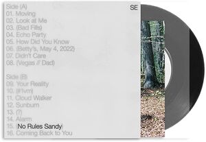 No Rules Sandy , Sylvan Esso