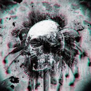 Wheels Within Wheels /  Street Level